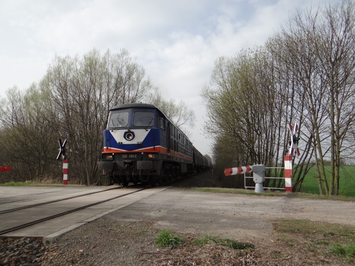 Am 01.04.14 fuhr die raildox 232 103 wieder auf der Wismut Werkbahn. Hier zusehen zwischen Großenstein und Beerwalde. 