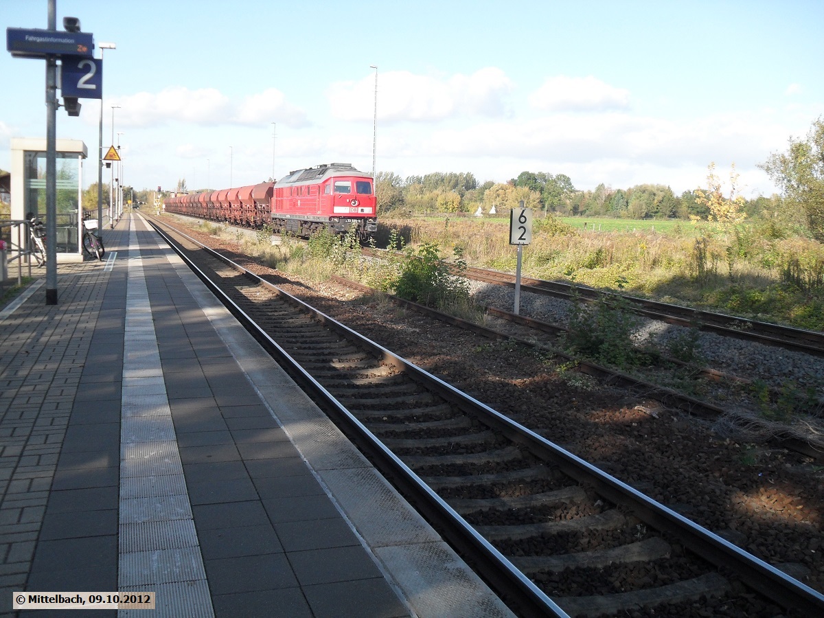Am 09.10.2012 durchfuhr dieser G�terzug mit einer Diesellok der Baureihe 233 den Bahnhof Halle-Trotha.