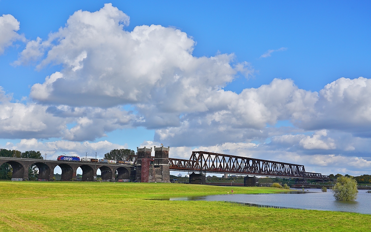 Am 11.10.2024 überquert eine unbekannte 482 von SBB Cargo die Rheinbrücke bei Duisburg-Rheinhausen