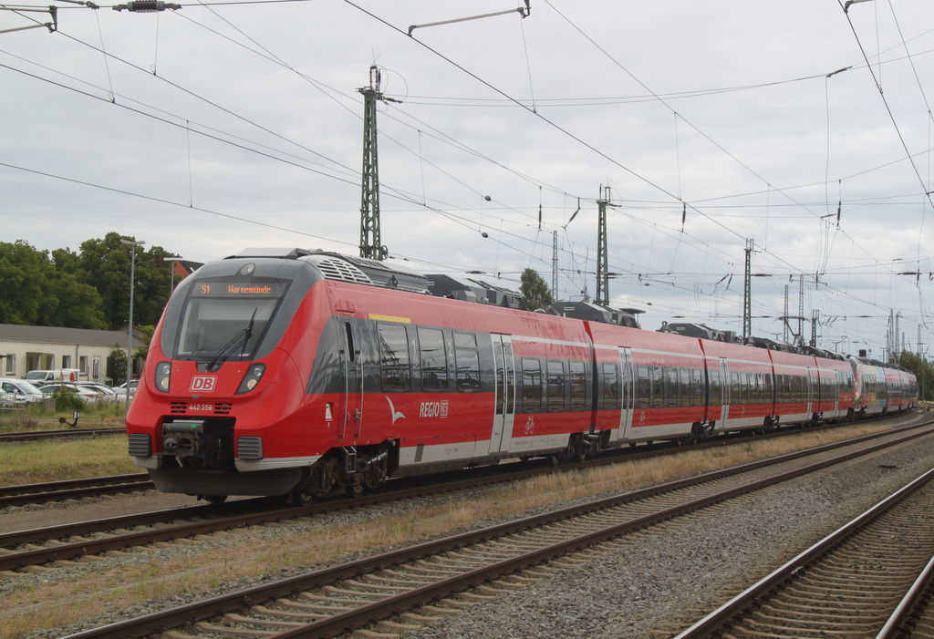 am 31.07.2015 fuhr zu Freude des Fotografen die S1 von Rostock Hbf nach Warnemnde mit 442 356-2+442 354-7 ab Rostock Hbf 