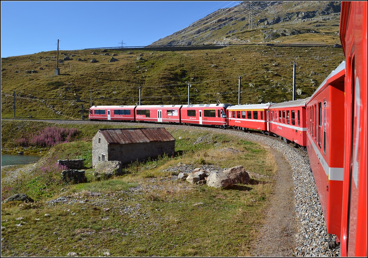 Am Lago Bianco entlang fährt Allegra ABe 8/12 3509  Placidus Specia  mit dem Regionalzug. Bernina, August 2015.