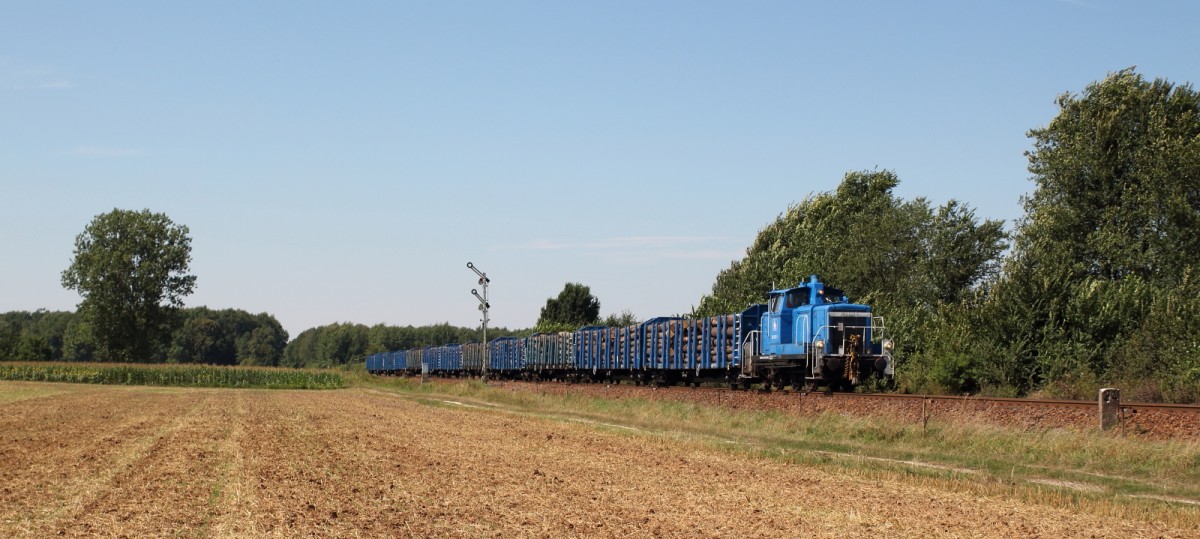 Am Mittag des 17.08.13 brachte SU 46 035 einen langen Holzzug von Polen zum Gterbahnhof Horka. An diesem Tag hatte das  PRESS-Dreibein  namens 363 027-1 die Aufgabe, diesen Zug ber die letzten Kilometer zum Abnehmer in Kodersdorf zu befrdern. 
Da er mit seiner stattlichen Lnge eine Nummer zu gro fr die Rangierlok war, wurde er geteilt nach Niesky - wo er  Kopf  machte - und nachher zum besagten Holzwerk gebracht. Hier wurde er beim Abzweig Srichen fotografiert.