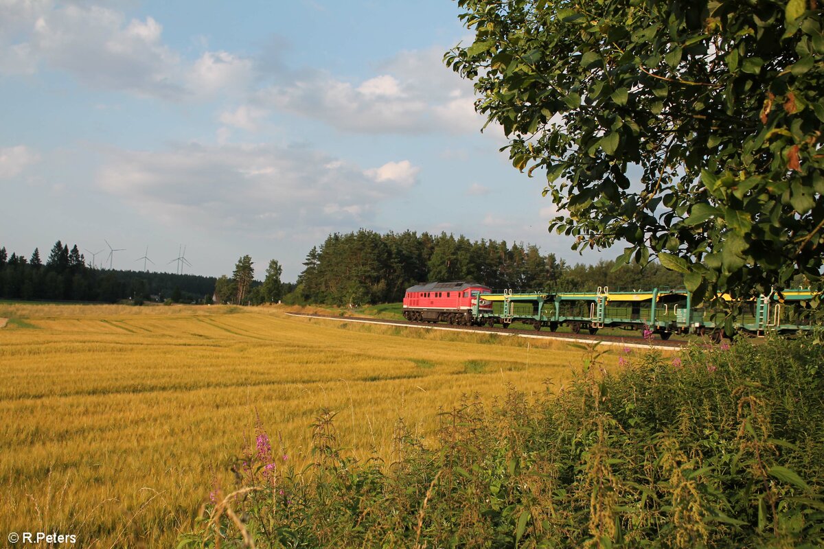 Am Schluss schiebt 232 173