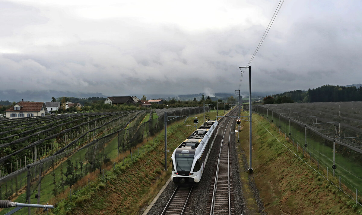 An der ehemaligen BT-Strecke Romanshorn - St.Gallen: Thurbo GTW 2/8 764 auf flotter Fahrt Richtung St.Gallen. Roggwil-Berg, 5.Oktober 2021 