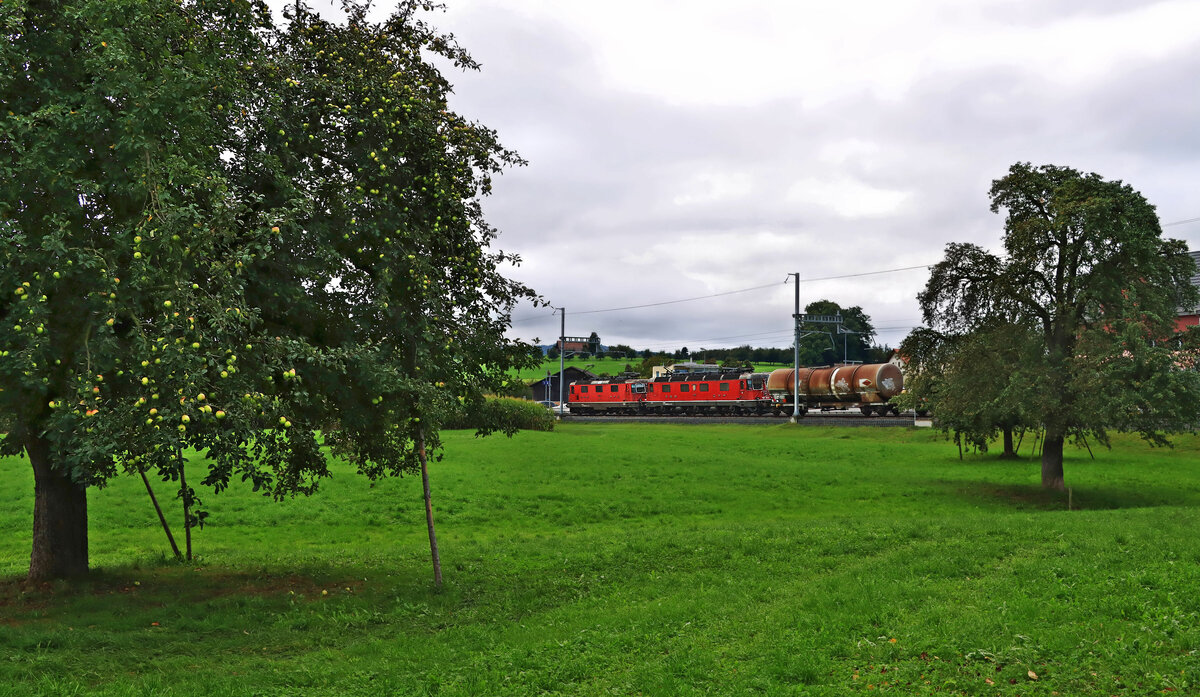 An der ehemaligen BT-Strecke Romanshorn - St.Gallen: Die beiden Loks Re 4/4 11242 und Re 6/6 11670 haben Muolen erreicht. Kurz danach bleibt der Zug liegen und blockiert die Strecke. 7.Oktober 2021 