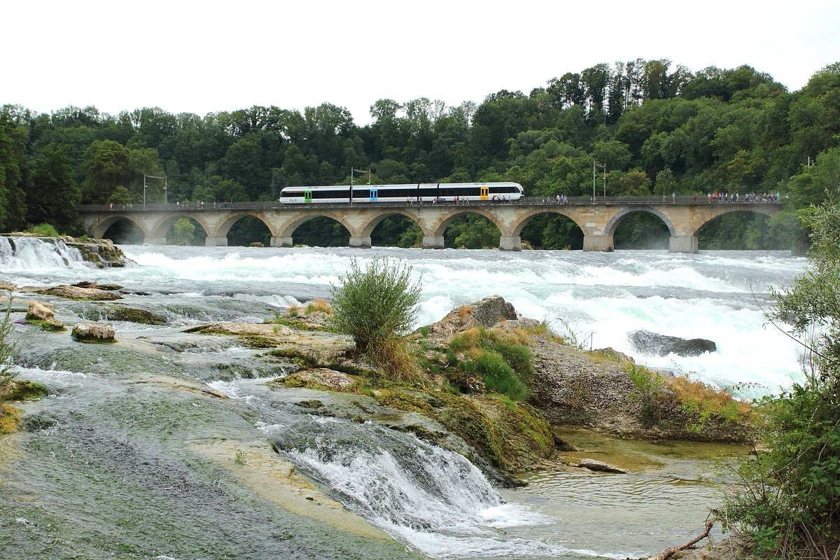 Auch für Eisenbahnfreunde gibt es ausreichend Fotomöglichkeiten am Rheinfall, hier ist ein RABe 526 am 26.07.2015 in Richtung Schaffhausen unterwegs