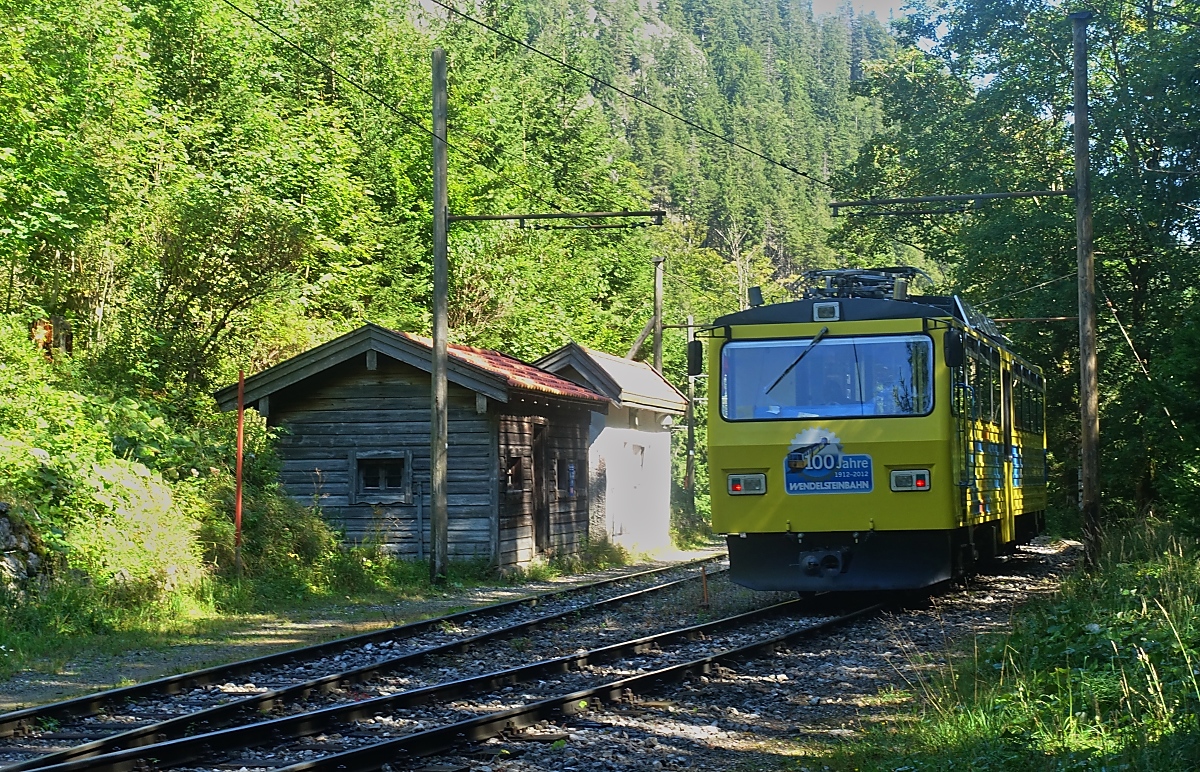 Auf dem Weg zur Talstation durchfährt der Beh 4/8 12  Otto von Steinbeis  der Wendelsteinbahn am 05.09.2023 die Haltestelle Aipl