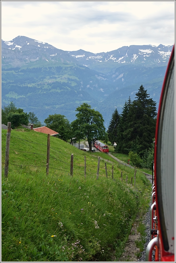 Auf der Fahrt ins Tal wartet in Planalp bereits der nächste Zug für die Fahrt auf das Brienzer Rothorn.
(08.07.2016) 