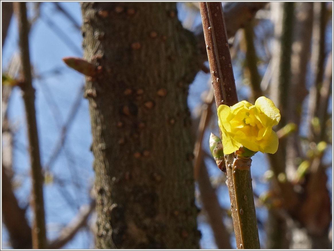 Aufbruch 
(10.03.2014)