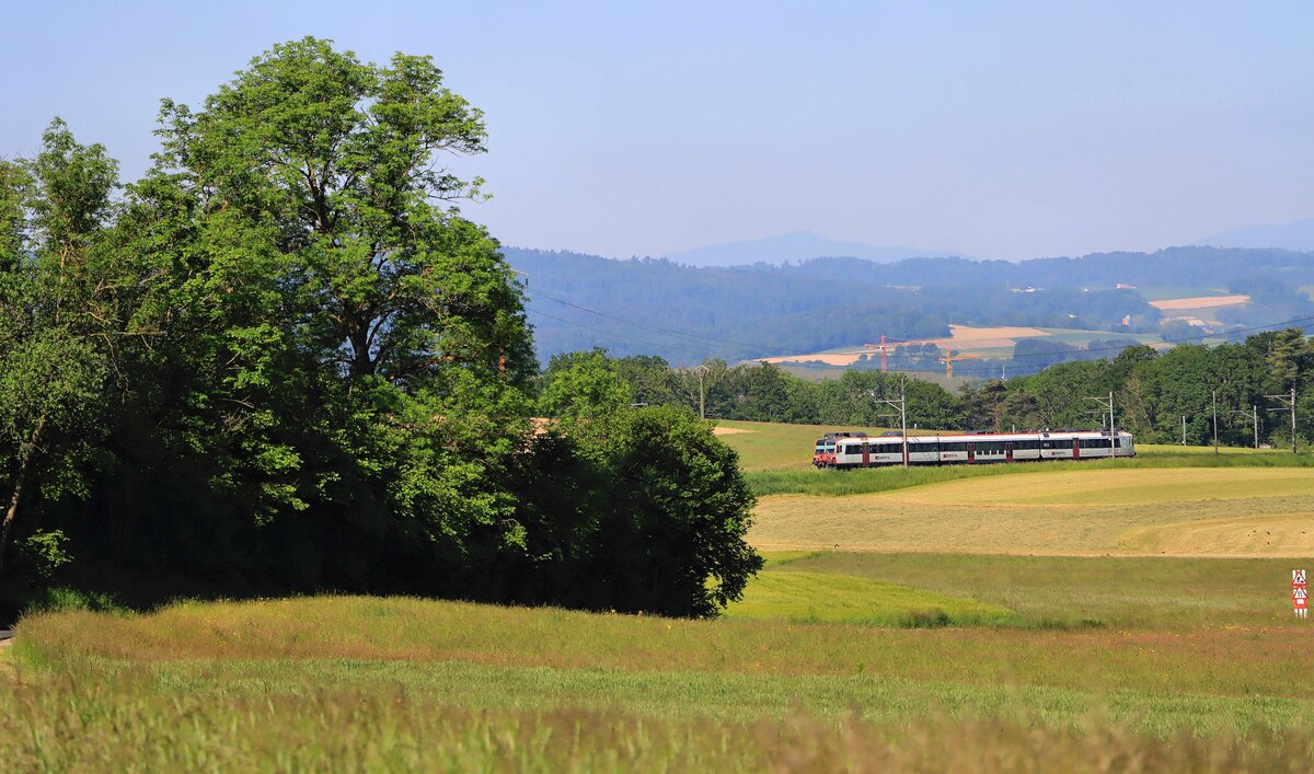 Aufstieg aus dem Broyetal eines NPZ Domino-Zugs der S30 (Yverdon-Fribourg), bei Léchelles. Der Zug ist gebildet aus Steuerwagen ABt 39-43 805, Domino-Wagen 29-43 119 und Triebwagen 560 258. 1.Juni 2021 
