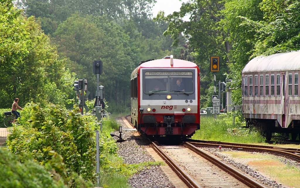 Aus Dagebüll kommend und soeben den Ortsteil Deezbüll passierend hat der VT 71 der neg(628/629 071)Einfahrt in Niebüll. 01.06.2013