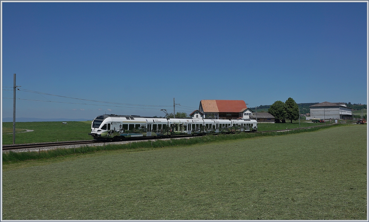 Ausgangs von Sâles, bei Vers chez Seydoux Fährt der TPF RABe 527 198  BCF / FKB  (Kantonalbankwerbezug) in Richtung Romont.

19. Mai 2020