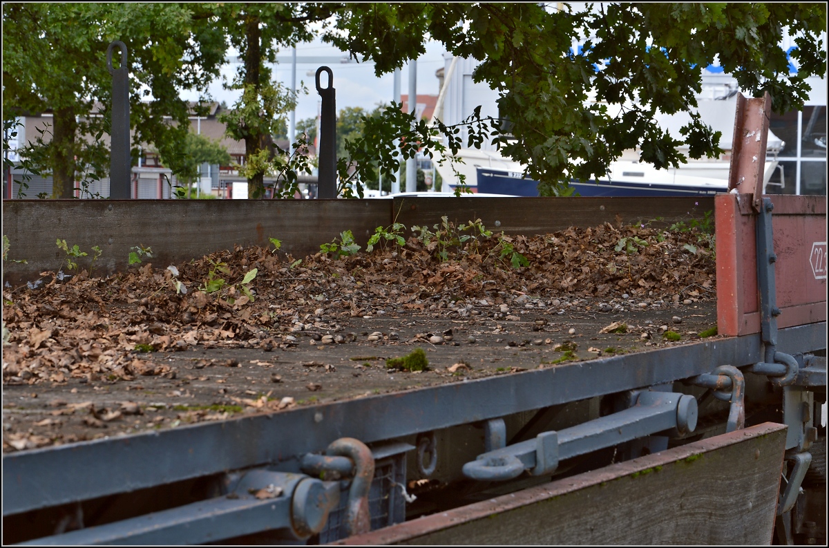 Bahndienst-Materialwagen X2 368. Leider momentan unter einem Baum stehend hat ihm der Laubfall schwer zugesetzt. Zeit für Reinigungsarbeiten und Korrosionsschutz. August 2014.
