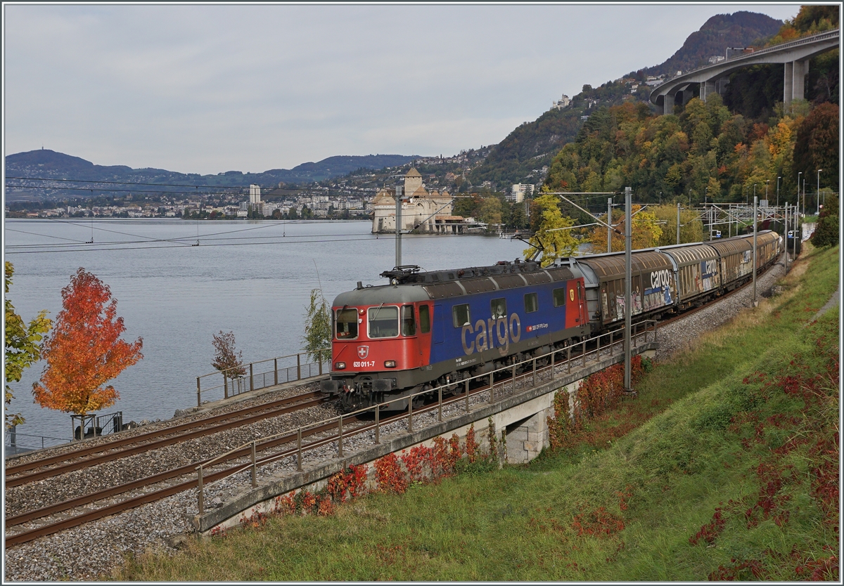 Bei einem eher  schlechten  Licht zeigt sich die SBB Re 6/6 11611 (Re 620 011-7)  Rüti ZH  in bunten Herbst beim Château de Chillon auf dem Weg in Richtung Wallis.

20. Okt. 2020