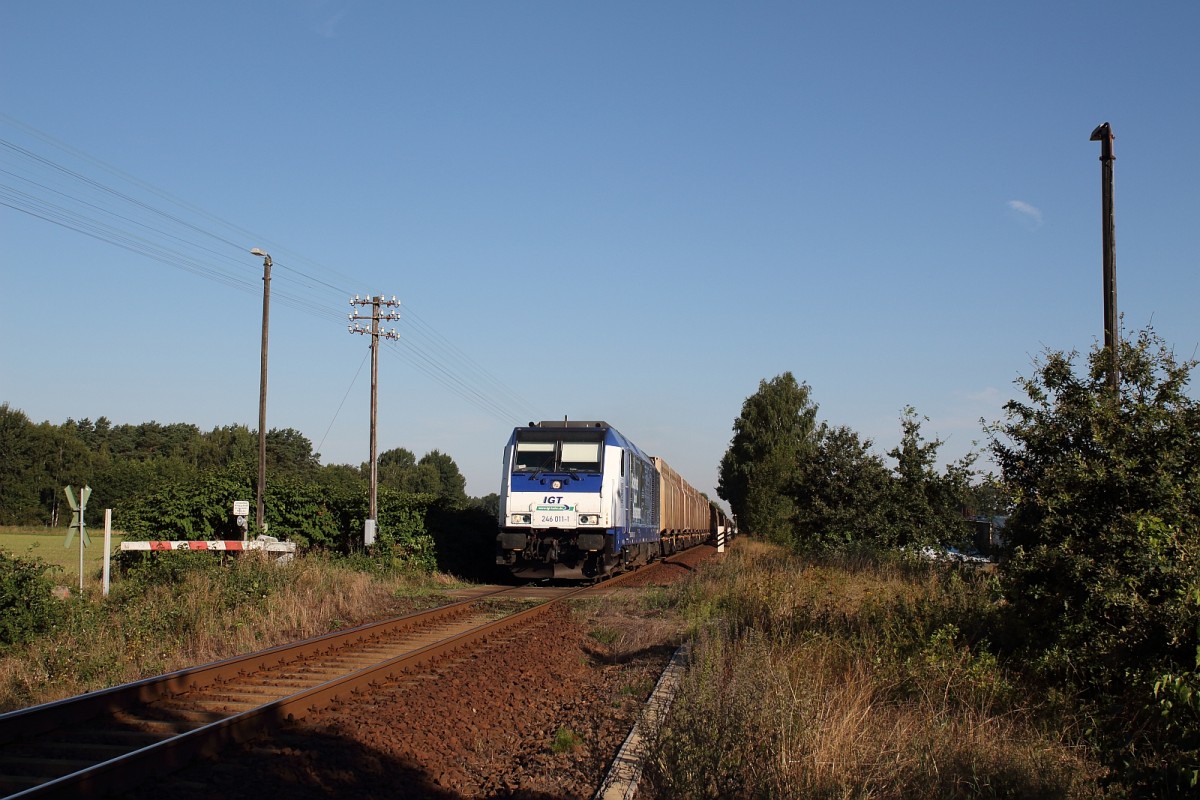 Bei der Ortschaft Spree konnte der Tf seiner 246 011-1 am 17.08.13 mal so richtig die Sporen geben, als er mit einem Holzhackschnitzelzug nach Kodersdorf den nchsten Ort Uhsmannsdorf ansteuerte.