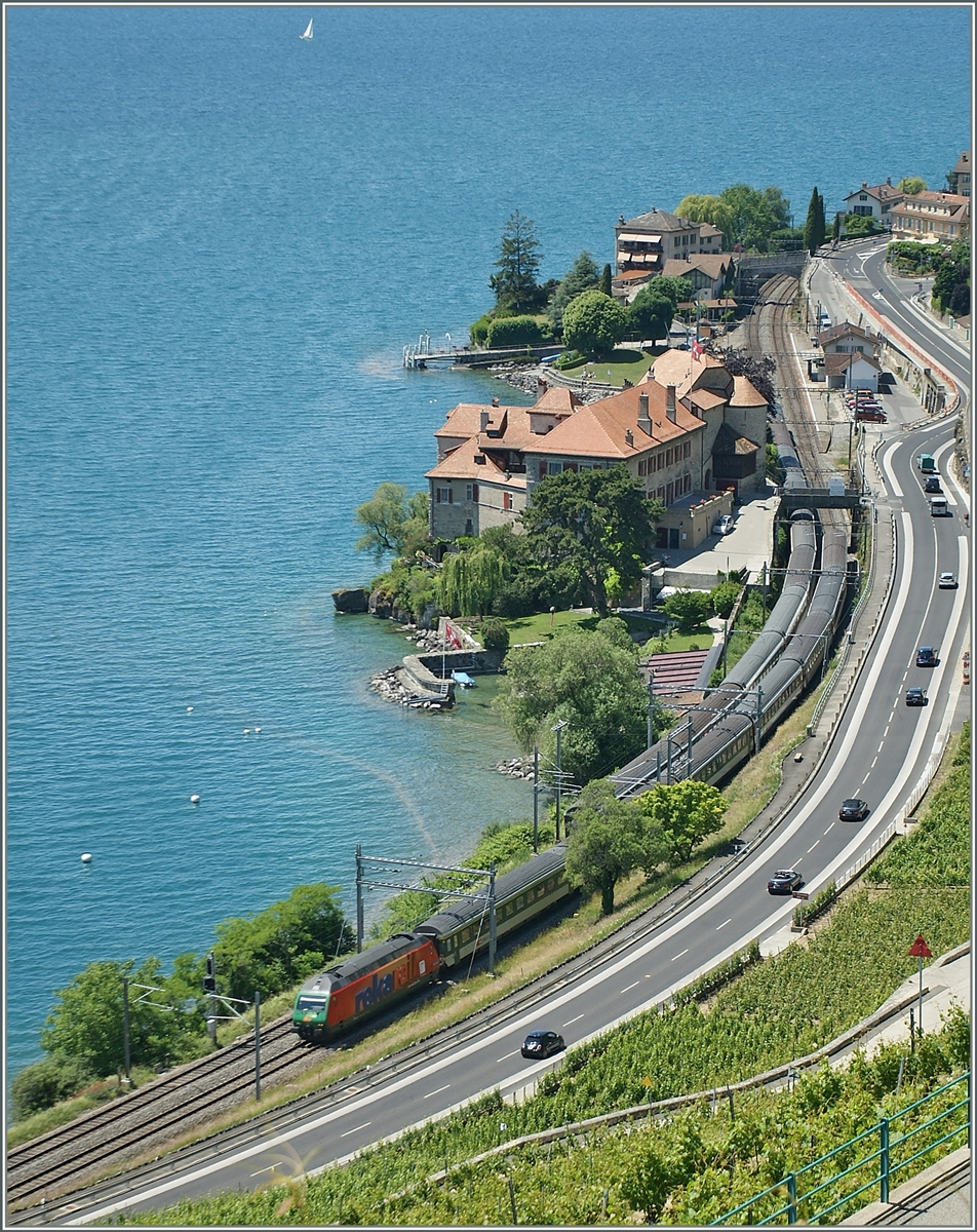 Bei Rivaz begegnen sich zwei SBB Re 460 mit ihren IR Zügen Brig - Genève, bzw. Genève - Brig. 28. Mai 2011