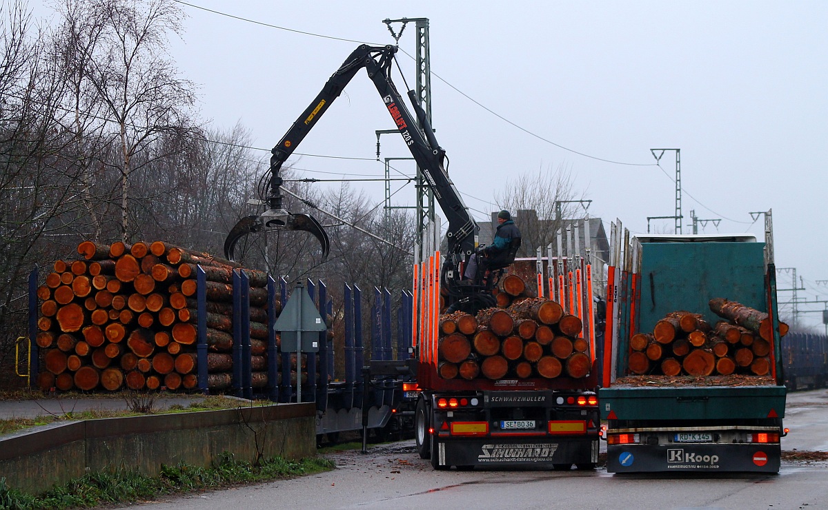 Beladen wurden die blauen Wagen der ERR(verliehen an HLG Bebra)mit dem Fallholz von dem es Dank Christian und Xaver hier genug gibt. Hier der Blick in die Ladestrasse in Jübek wo Holz von LKW's verladen wurde. Jübek 09.12.2013