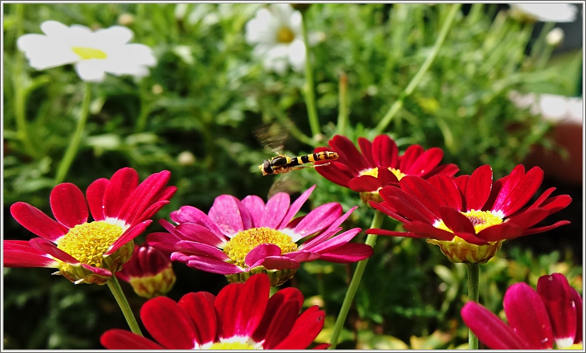 Bin in Eile...
(31.07.2014)