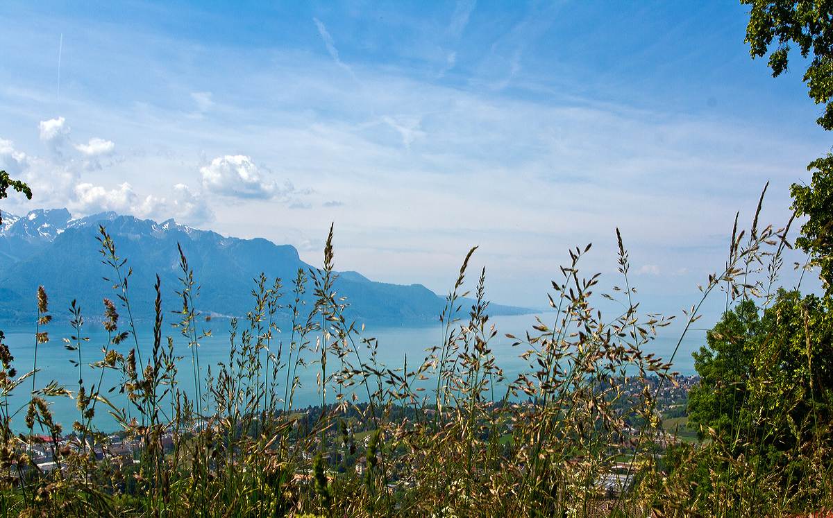 
Blick Auf den Genfersee am 27.05.2012 zwischen Blonay und Chamby.