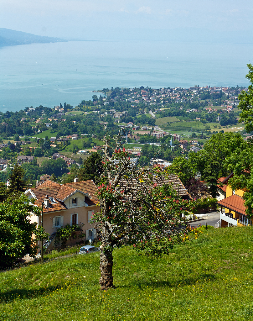 
Blick auf den Genfersee am 27.05.2012 bei Chaulin.