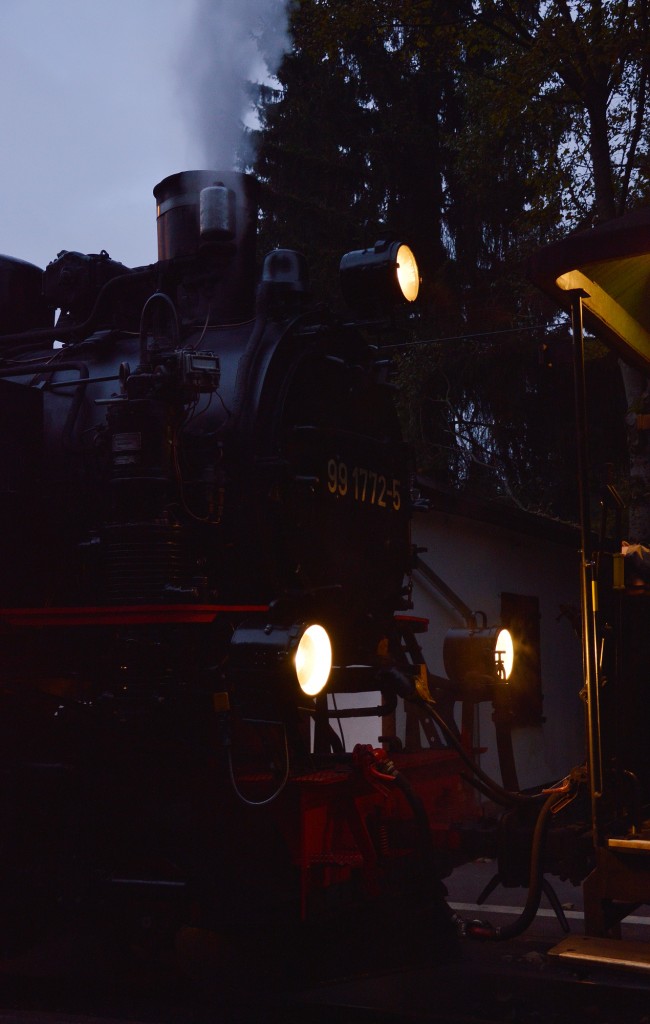 Blick auf die Lokfront der 99 1772-5 in Niederschlag am 25.10.2015