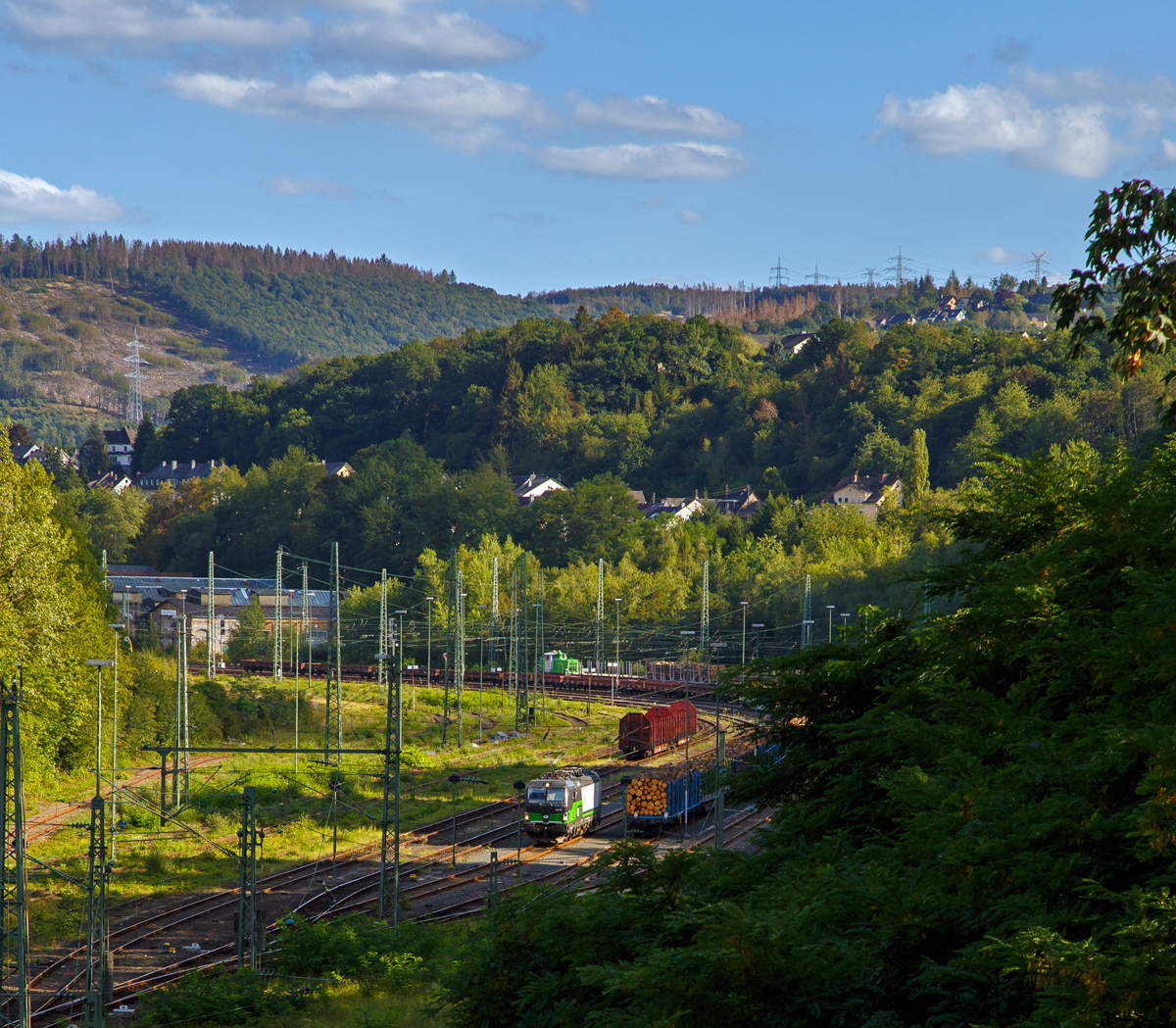 
Blick auf den Rangierbahnhof Betzdorf (Sieg) am 27.08.2020:
Eine Vectron steht bereit um einen Holzzug zu übernehmen, während im Hintergrund die SETG V60.01 (98 80 3361 234-8 D-SRA), ex DB V 60 1234, mit einem Holzzug ankommt.

Zurzeit streben in der Region fast alle Fichten, durch den Befall des Borkenkäfers und die drei Jahr dürre in folgen, ab und müssen alle abgeholzt werden.
