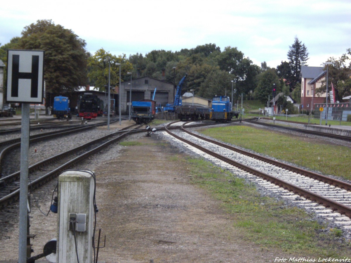 Blick auf die RBB 251 901 am Kleinbahn BW in Putbus am 15.9.13