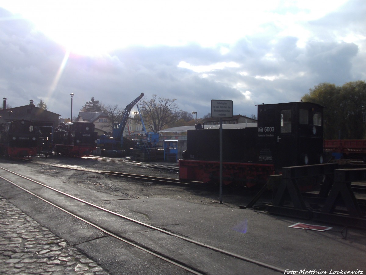 Blick auf die RBB Kf 6003, 99 4801 & 99 4011 im Kleinbahn BW Putbus am 29.10.13