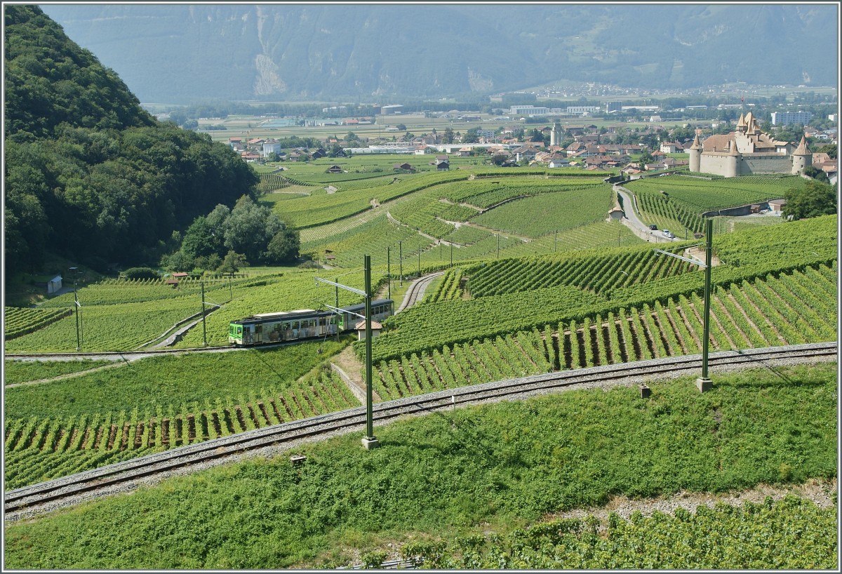 Blick auf das verschlungen ASD Trasse in den Weinbergen oberhalb von Aigle. 
22. August 2013