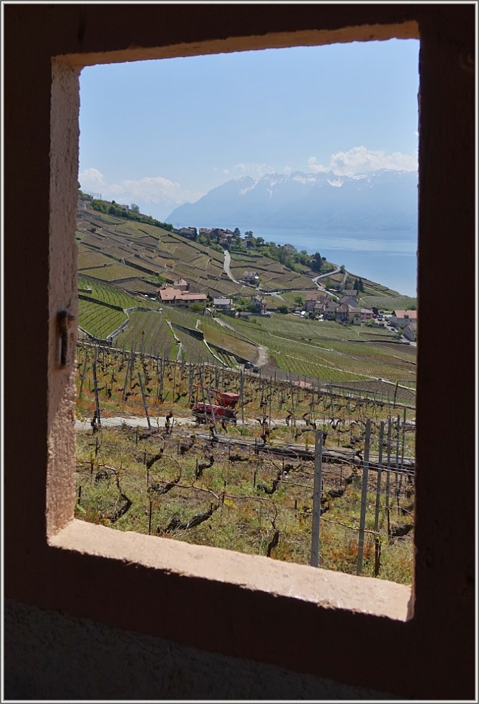 Blick aus einem Fenster auf's Lavaux und seine Umgebung.
(23.04.2014)