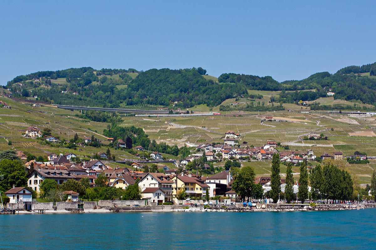 Blick vom Genfersee (von der LA SUISSE) auf die Weinberge vom Lavaux, am 26.05.2012 (ca. bei Epesses). Oberhalb der Weinberge auf der Bahnstrecke Lausanne–Bern (Mittellandlinie) zieht eine Re 460 eine IC in Richtung Bern.