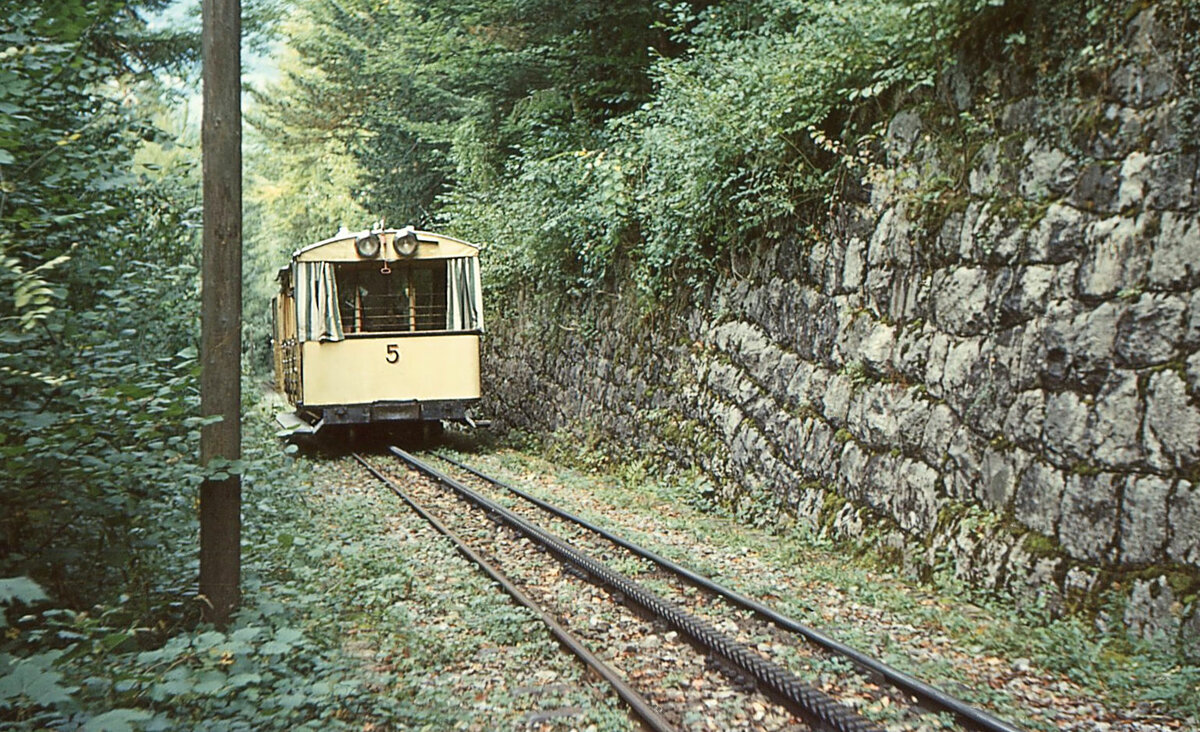 Brunnen - Morschach - Axenstein: Komposition Lok 2 mit Wagen 5 im Aufstieg oberhalb Brunnen, 6.Oktober 1967 