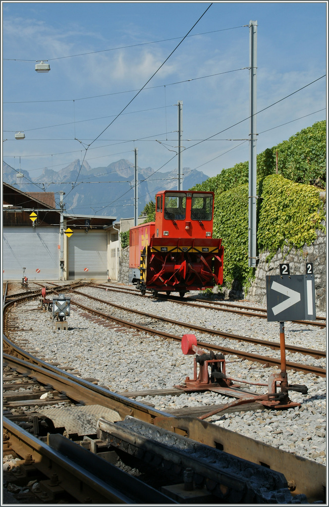 BVB Schneefrse im A-L Dpt von Aigle.
22. August 2013