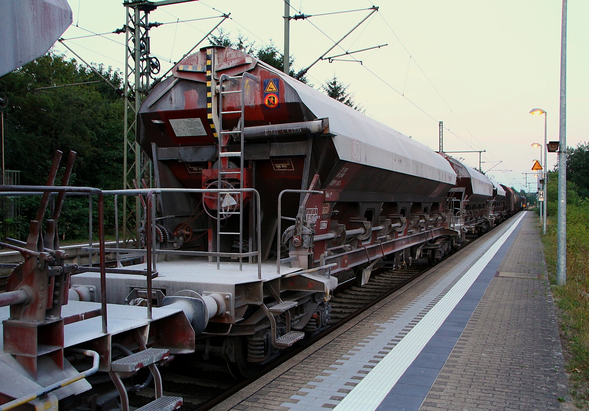 D-DB 31 80 0819 193-0, Gattung Tads-z 958, gedeckter Schttgutwagen mit dosierbarer Schwerkraftentladung und vier Radstzen eingereiht in einen Gterzug der in Schleswig halten musste. 28.07.14