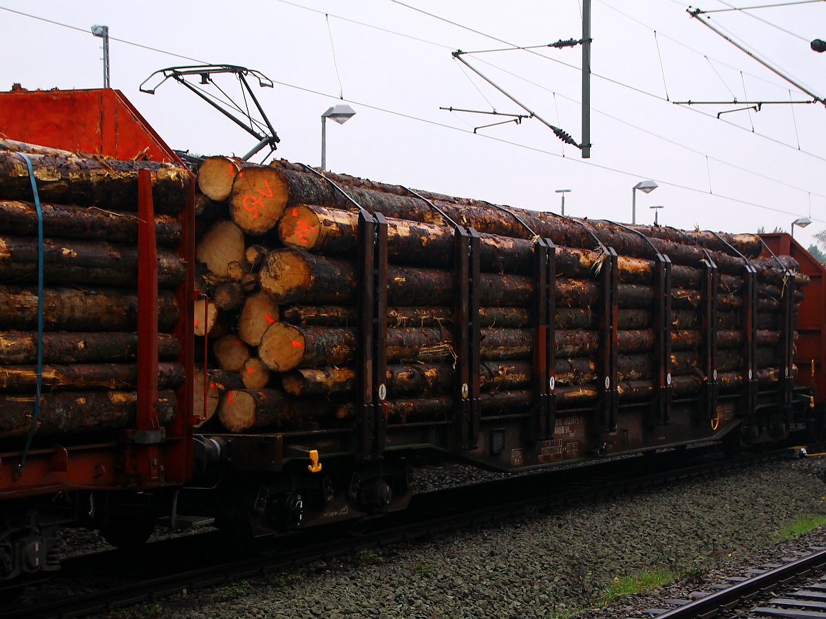 D-DBSNI 37 80 4723 675-7 Gattung Snps 719. Vierachsiger Drehgestellflachwagen hier die Variante mit eigenem Stromabnehmer und durchgehendem Langholz...gesehen in Schleswig 07.10.2014