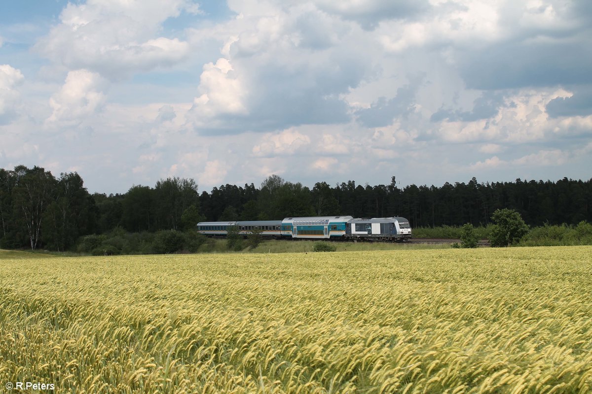 D81 mit dem ALX79854 Hof - Mnchen bei Schnfeld. 19.06.19