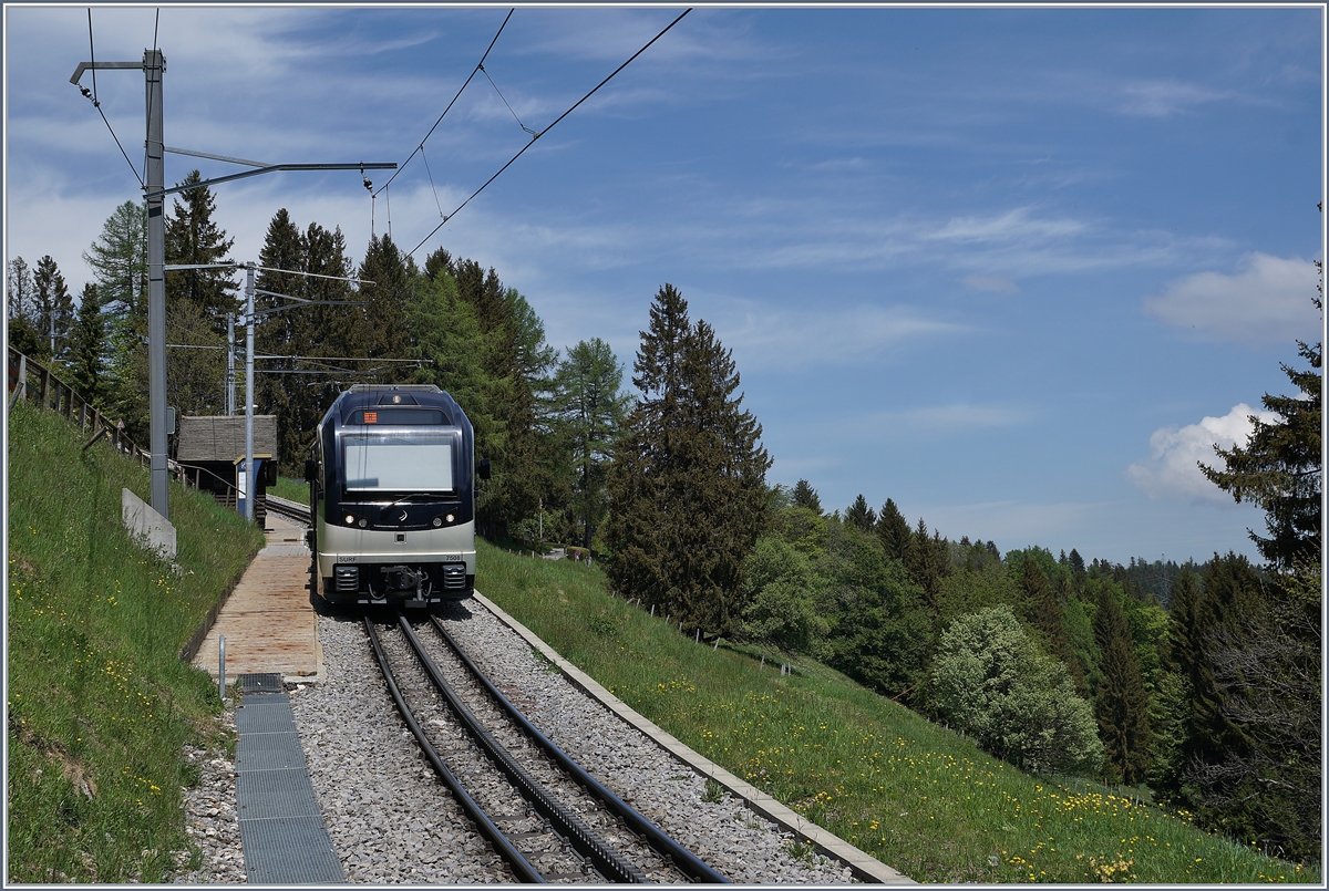 Da die Strecke von Lally bis auf dem Les Pléiades als *touristischer Verkehr  eingestuft wird, wendeten die CEV MVR Züge währen der erste Welle des Covid 19 in Lally. 

Im Winter 2020/2021 hingegen verkehren die Züge bis zur Endstation Les Pléiades, dürfen aber ab Lally gemäss Skilift und Seilbahnbestimmungen (!) nur zu 2/3 besetzt sein.

Im Bild der CEV MVR SURF ABeh 2/6 7502  Blonay  

8. Mai 2020