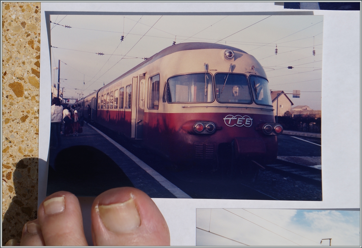 Das fotogarfieren von Foto ist etwas umständlich, neben einem Fotoapparat braucht es Sonne, möglichst keinen Wind und einen Fuss, um das Blatt festzuhalten...
23.7.15