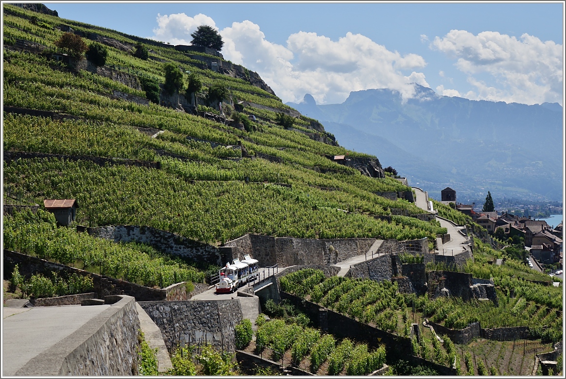 Das Lavaux kann man nicht nur zu Fuss entdecken sondern auch mit einem Petit Train.
(13.06.2015)