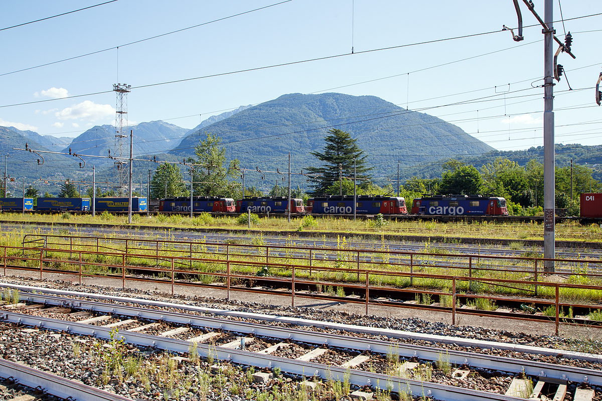 Das nennt man wohl eine Re 20/20...
Die SBB Cargo in Vierfachtraktion Re 4/4 - Re 6/6 - Re 4/4 - Re 6/6 fährt am 03.08.2019 mit einem langen KLV-Zug über die einspurige Güterzugumfahrung Domodossola zum Rangierbahnhof Beura-Cardezza (ex Bahnhof Domodossola II). Diese Strecke ist mit 15 kV 16,7 Hz Wechselstrom elektrifiziert.
