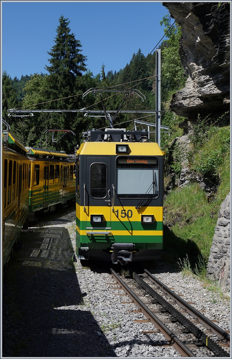 Das Trasse der WAB ist eng an die steile, felsige Landschaft geschmiegt und doch bleibt etwas oberhalb von Lauterbrunnen Platz fr eine Kreuzungsstation, welche hier von einem Berg- und einem Talwrts fahrenden WAB Zug genutzt wird. 
8. August 2016
