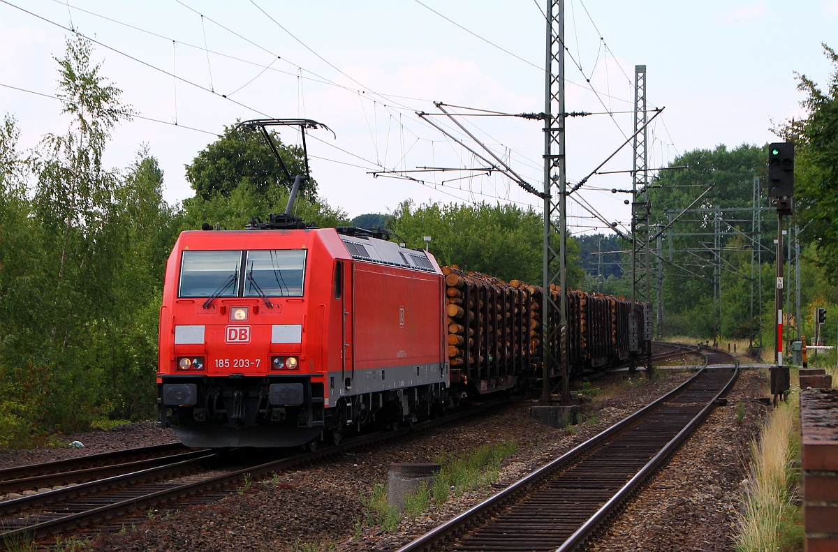 DB 185 203-7 hat den RBH Holzzug aus Padborg/DK geholt und stebt nun gen Hamburg hier durch Schleswig. 28.07.2014