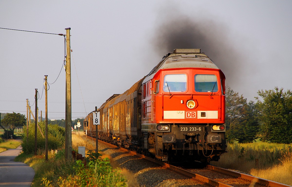 DB 233 233-6 passiert hier mit ihrem Gz einen der zahlreichen Bü's zwischen Jübek und Sollbrück auf ihrem Weg nach Husum/Esbjerg. 17.07.2014