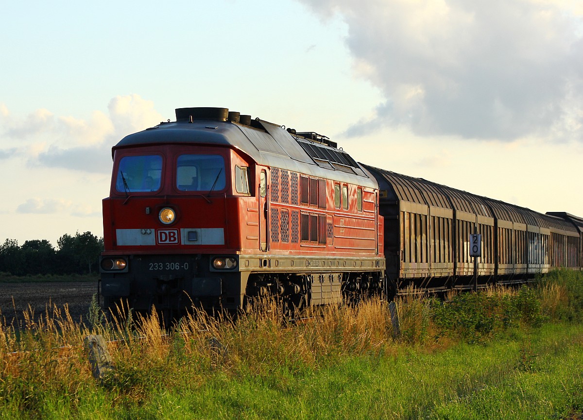 DB 233 306-0(REV/BCS X/28.07.10)dieselt hier im Abendlicht unterwegs mit ihrem Güterzug Richtung Hamburg durch Jübek. 23.07.2015