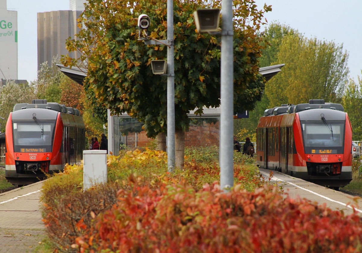 DB 648 335/835 nach Bad St.Peter-Ording und 648 331/831 nach Kiel kurz vor ihrer Abfahrt aus Husum. 19.10.2013