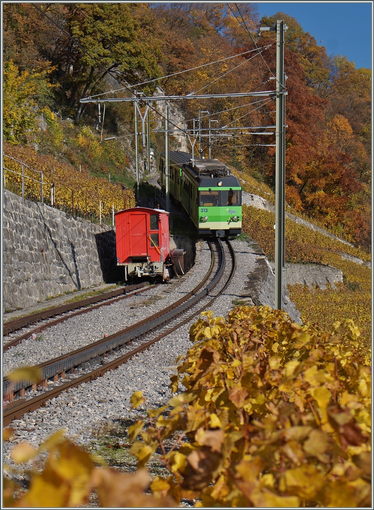 Der A-L Regionalzug 245 von Leysin nach Aigle erreicht den kleinen Bahnhof Fontanney. 
1. Nov. 2015