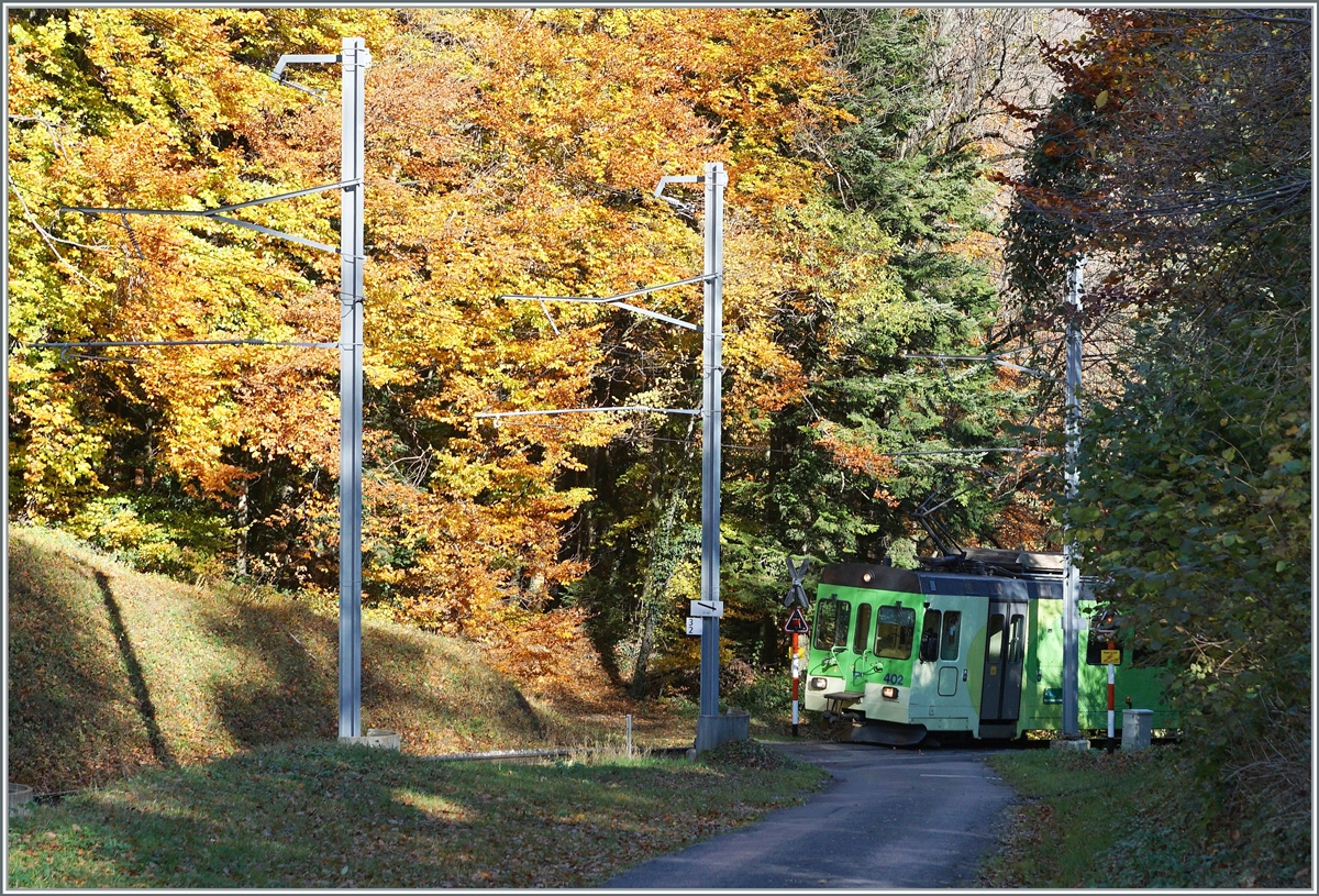 Der ASD BDe 4/4 402 im Herbs-Wald oberhalb von Aigle bei Verschiez. 

5. Nov. 2021