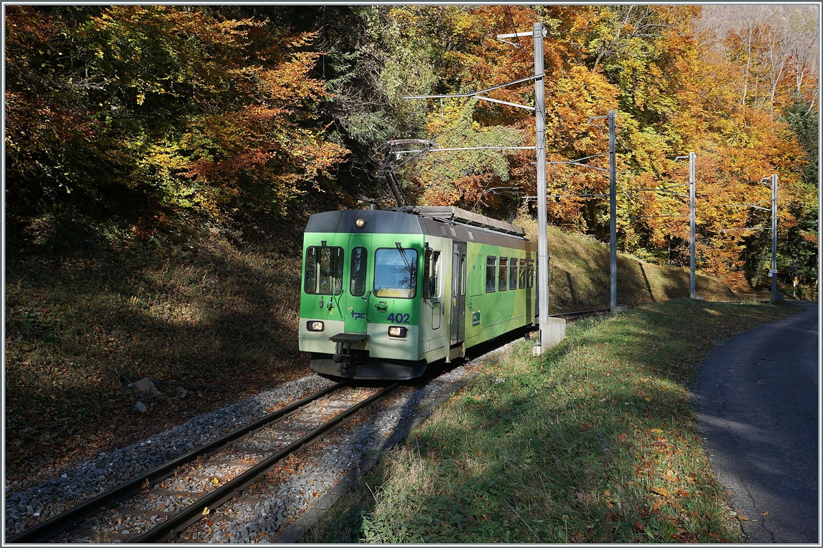 Der ASD BDe 4/4 4/4 402 der auf die Fahrt von Aigle nach Plambuit im bunten Herbstwald bei Verschiez. 

5. November 2021