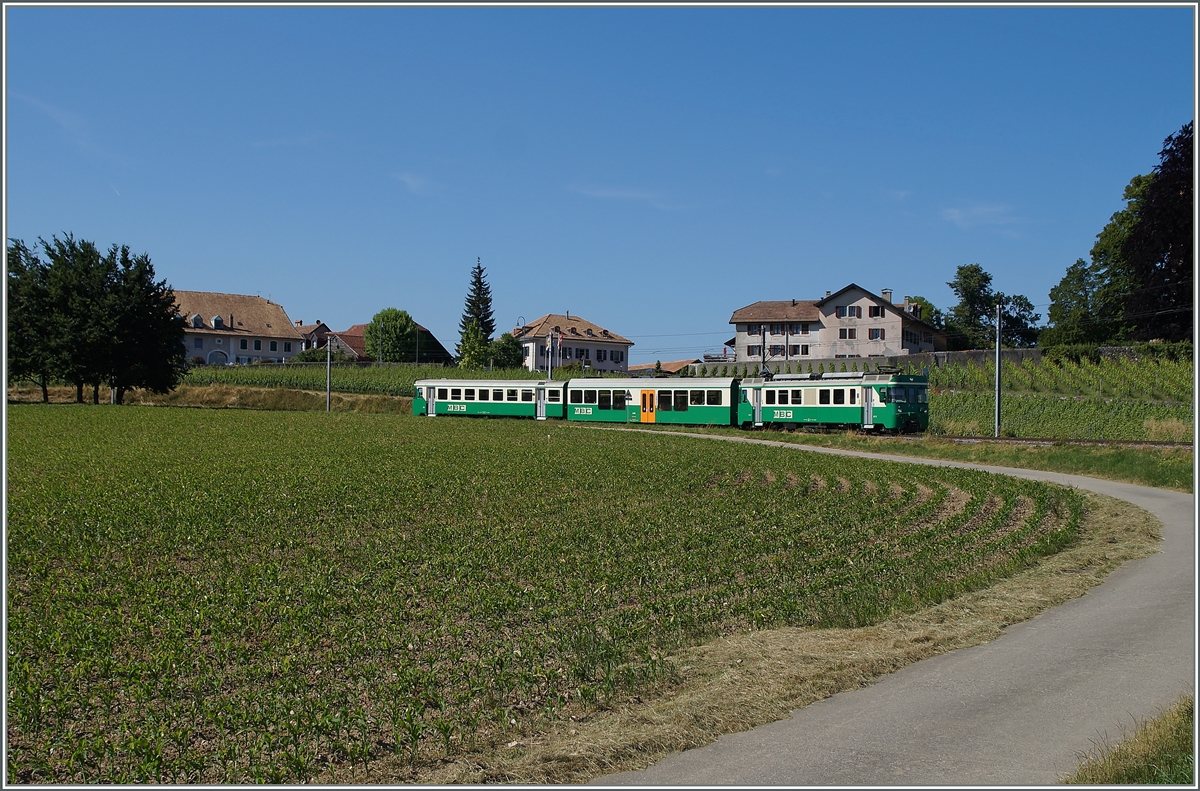 Der BAM Regionalzug 129 bei Vufflens le Château. 16. Juni 2014
