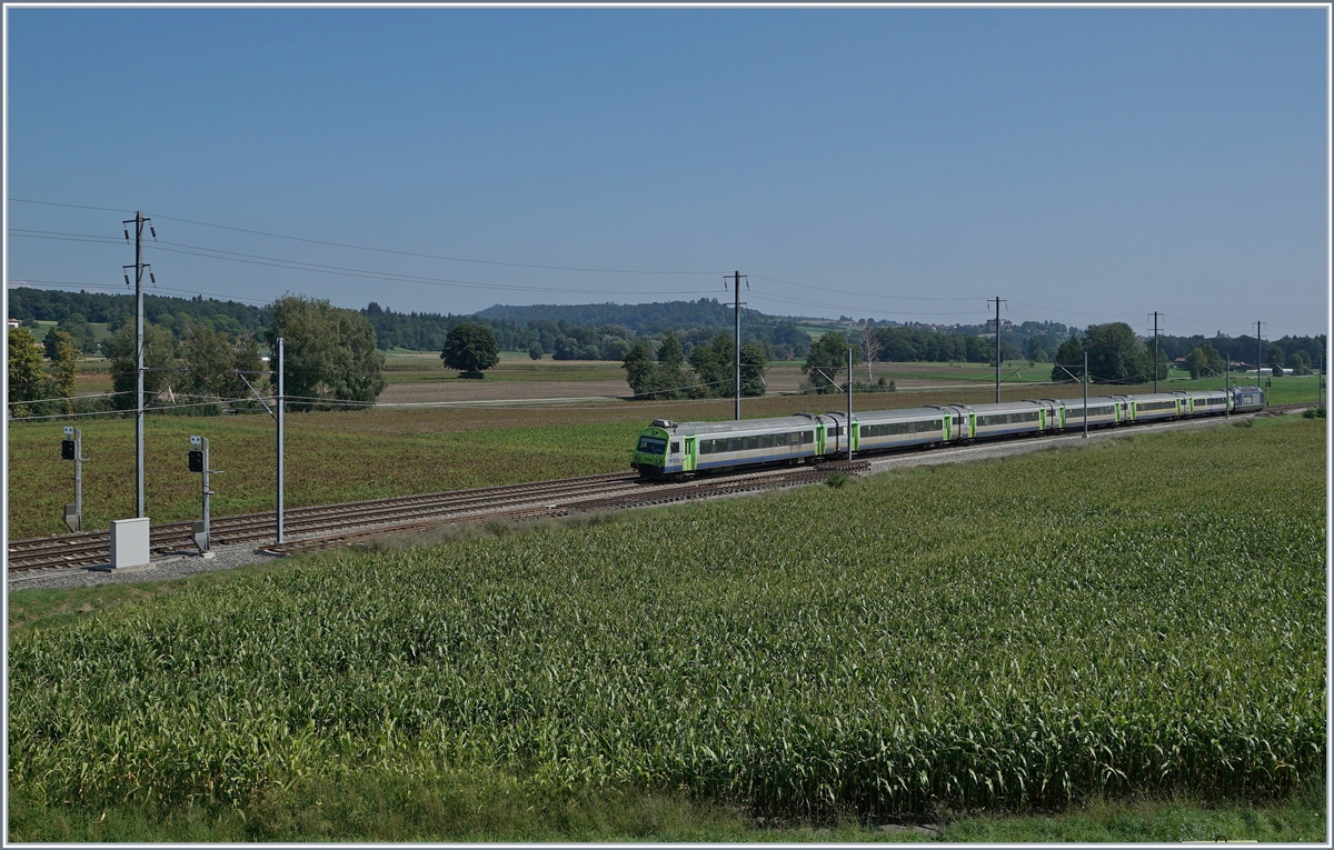Der BLS RE 3922 von Bern nach La-Chaux-de-Fonds kurz vor Gampelen. 

30. August 2019 